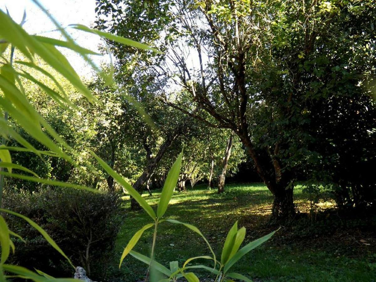 Bed and Breakfast Domaine Pastel Besson Zewnętrze zdjęcie